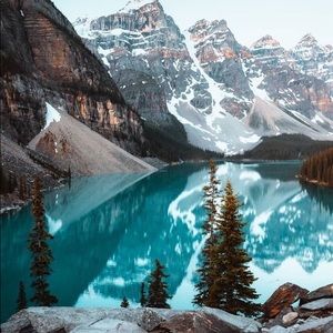 Meet your Posher, Molly